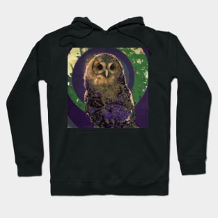 Night Owl Hoodie